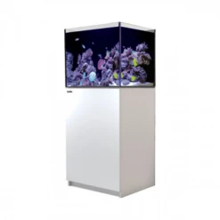 Red Sea REEFER G2+ 170 BLACK -Sea View Aquarium Shop reefer170white
