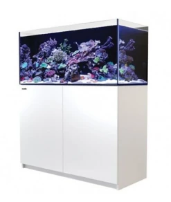 Red Sea REEFER G2+ 350 WHITE
