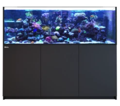 Red Sea REEFER G2+ 750 BLACK