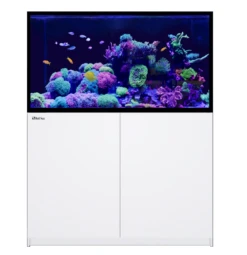Red Sea REEFER G2+ S-550 BLACK -Sea View Aquarium Shop reefers 550white