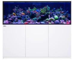 Red Sea REEFER G2+ S-850 BLACK -Sea View Aquarium Shop reefers 850whiteg2