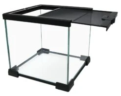 Reptile One Mini T2 Glass Terrarium 20x20x20cm 7 Reptile One Mini T2 Glass Terrarium 20x20x20cm -Sea View Aquarium Shop reptileoneminit220x20x20black1