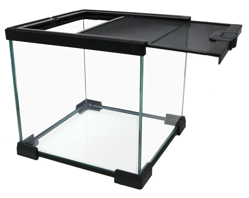 Reptile One Mini T2 Glass Terrarium 20x20x20cm 5 Reptile One Mini T2 Glass Terrarium 20x20x20cm - Image 3