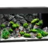 Juwel Rio 125 LED Aquarium - Black -Sea View Aquarium Shop rio 125 blackaquarium