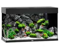 Juwel Rio 125 LED Aquarium - Black