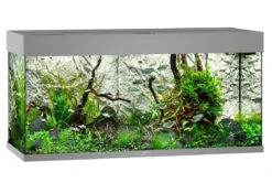 Juwel Rio 180 LED Aquarium - Black -Sea View Aquarium Shop rio180greyaquarium