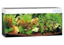 Juwel Rio 180 LED Aquarium - Black -Sea View Aquarium Shop rio180whiteaquarium