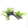 Rock With Green Trichomanes 1 Rock With Green Trichomanes -Sea View Aquarium Shop rockwithgreentrichomanes