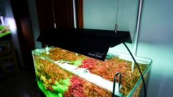 Chihiros Shade For RGB Vivid 2 BLACK -Sea View Aquarium Shop shadeforvivid2