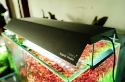 Chihiros Shade For WRGB2 30 And Slim 30 - 30cm 9 Chihiros Shade For WRGB2 30 And Slim 30 - 30cm -Sea View Aquarium Shop shadeforwrgb2