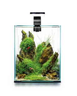 AquaEL Shrimp Set Day & Night 30 Black -Sea View Aquarium Shop shrimpsetdayandnight30