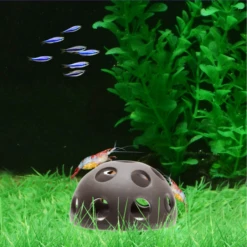 Shrimp Shelter Semicircle Ceramic Hide -Sea View Aquarium Shop shrimpsheltercircledomehide