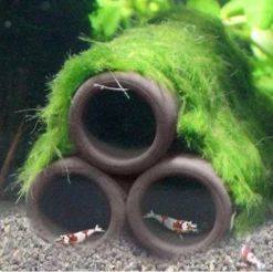 Shrimp Shelter Breeding Tube & Hide -Sea View Aquarium Shop shrimptubes