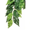 Exo Terra Hanging Rain Forest Silk Plant - Ficus Small 2 Exo Terra Hanging Rain Forest Silk Plant - Ficus Small -Sea View Aquarium Shop silkficus
