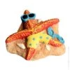Starfish On Beach 1 Starfish On Beach -Sea View Aquarium Shop starfishonbeach