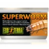 Exo Terra Canned Superworms 34gm -Sea View Aquarium Shop superworm
