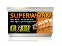 Exo Terra Canned Superworms 34gm