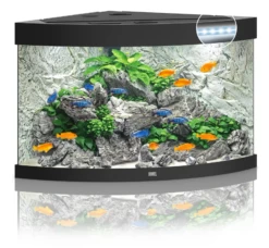 Juwel Trigon 190 LED Corner Aquarium - Black
