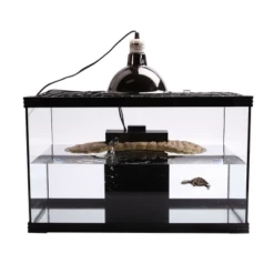 Reptile One Turtle Nursery Kit