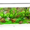 Juwel Rio 240 LED Aquarium - White -Sea View Aquarium Shop whitejuwel240aquarium