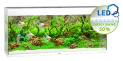 Juwel Rio 240 LED Aquarium - White