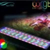 Chihiros SLIM WRGB II 30cm LED Light With Bluetooth 2 Chihiros SLIM WRGB II 30cm LED Light With Bluetooth -Sea View Aquarium Shop wrgbchihirosledlight