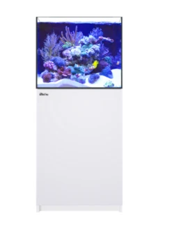 Red Sea REEFER G2+ 200 BLACK 13 Red Sea REEFER G2+ 200 BLACK -Sea View Aquarium Shop xl200whitenew