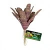 Zoo Med Chestnut Bromeliad -Sea View Aquarium Shop zm902