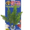 Zoo Med Betta Plants Salvia -Sea View Aquarium Shop zoomedsalvia